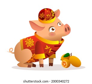 Chinese little pig cartoon character design with traditional chinese red costume and red hat. Ripe orange tangerines. Vector illustration isolated on white background. Zodiac of the Pig.