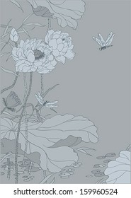 Chinese lotus on grey background