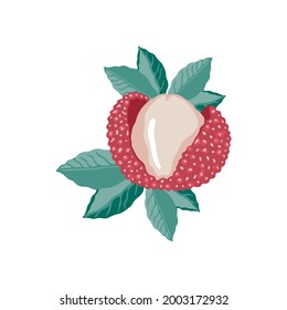 Leche de fruta china. Ciruela china, fruta tropical. Producto exótico de linces y hojas. Aislado sobre fondo blanco. 