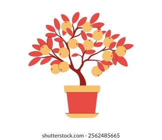 Chinese Mandarin Tree Growing in a Pot. Mandarin Tree Harvest. Lunar New Year Traditional Decoration.