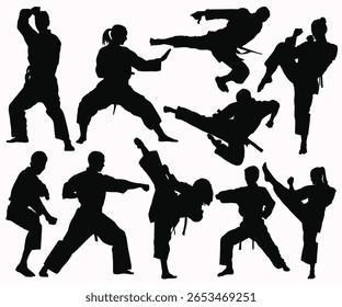 Silhuetas de artes marciais chinesas. Homem De Caratê Com Cinturão Preto Posando. Caratê faixa preta possuía pessoa. Mulher Kung Fu isolada. Judô, esporte de combate, chute voador, shorinji, taekwondo, autodefesa.
