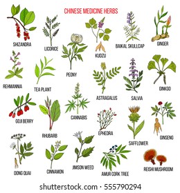 Medicinal Plants And Their Uses Chart