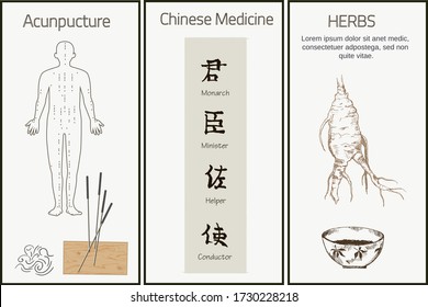 Chinese medicine, herbs and hieroglyphs of traditional chinese medical rules, zhen shen root and herbs vector illustration banner. Alternative medicine.