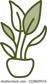 Chinese Money Plant, Illustration, Vector On A White Background.