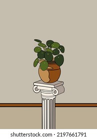Chinese money plant in a pot. Vector illustration.