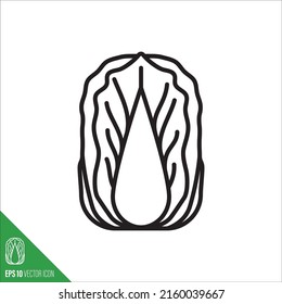 Chinese or Napa Cabbage vegetable icon, outline style vector illustration