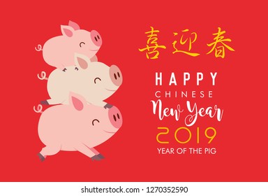 Chinese new year 2019 with cute pigs. Translation: welcome spring and happy new year.