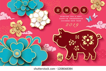 Chinese new year 2019 greeting with  zodiac sign year of the pig and flowers. Chinese translate: Golden pig announce good fortune