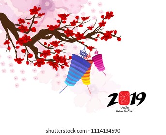 Chinese new year 2019 with lantern and cherry blossom. Year of the pig