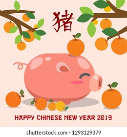 Chinese New Year 2019 neon background. Chinese characters mean pig year.