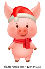 Chinese new year 2019. The year of the pig. 