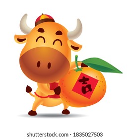 Chinese new year 2021. Cartoon cute ox carrying big mandarin tangerine orange with Chinese letter. The year of Ox. Translation: Blessing. - vector