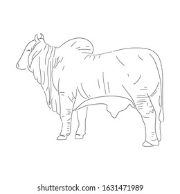 Chinese new year 2021 year of the cow, red and gold line art character, simple hand drawn asian elements with craft style on background. (Chinese translation: Happy chinese new year 2021, year of cow)