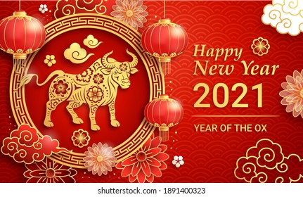 Chinese new year 2021 greeting card background the year of the ox. Vector illustrations.