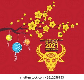 Chinese New Year 2021 - Lantern and plum blossom Background. Year of the Ox (Chinese translation Happy Chinese New Year, Year of Ox)