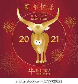 Chinese new year 2021, year of the ox, greeting vector card. Golden bull character, blooming peony and asian elements on red background. Chinese translation : Happy chinese new year 2021, year of ox