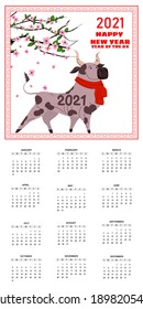 Chinese New Year 2021. Year Ox Chinese Zodiac symbol. Cute character bull, blossom tree, with calendar mounthly grid. Vector isolated template