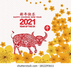 Chinese New Year 2021. Plum blossom, year of the Ox (Chinese translation Happy Chinese New Year, Year of Ox)