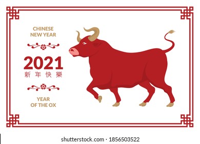 Chinese new year 2021 with red ox, border and floral ornament 