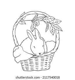 Chinese New Year 2023,Year of the Rabbit
easter bunny
Mid-Autumn Festival
cute rabbit simple lines
hand painted illustration vector