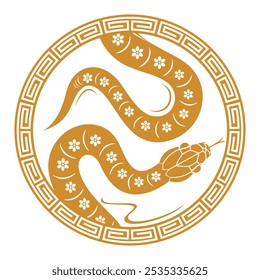 Chinese New Year 2025, Decoration with Snake vector elements.