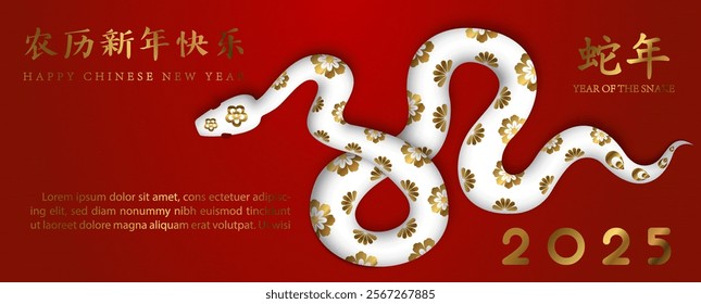Chinese New Year 2025 greeting card and poster banner with white snake in 3d style on red background. Chinese letters is meaning Year of the snake and Happy Chinese New Year in English.