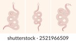 Chinese new year 2025 year of the Snake. Abstract red snake illustrations set. Linear geometric minimalist style. Traditional vector design. Lunar new year concept