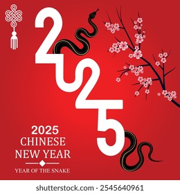 Chinese new year 2025 year of the Snake.Black Snake illustration and design.Red gradient with Cherry blossom
 tree vector Illustration .all layers are single for any oustomization , Eps 10
