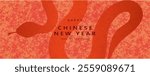 Chinese New Year 2025 vector illustration of Year of Snake cover, poster and sale banner. Chinese zodiac Snake symbol.