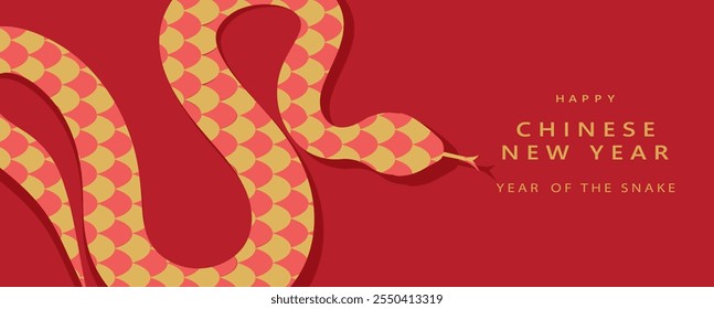 Chinese New Year 2025 vector illustration of Year of Snake cover, poster and sale banner. Chinese zodiac Snake symbol.