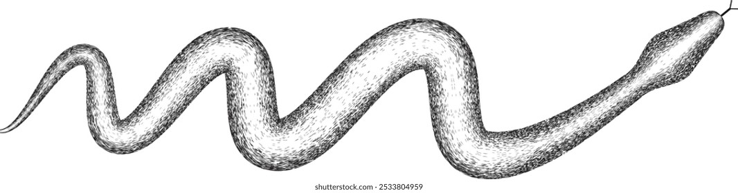 Chinese new year 2025 zodiac snake symbol .design elements . Year of the snake .World snake day logo. Line art . Vector illustration