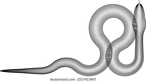 Chinese new year 2025 zodiac snake symbol .design elements . Year of the snake .World snake day logo. Line art . Vector illustration