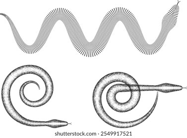 Chinese new year 2025 zodiac snake symbol collection .design elements . Year of the snake .World snake day logo set. Line art . Vector illustration