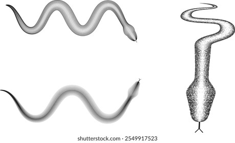 Chinese new year 2025 zodiac snake symbol collection .design elements . Year of the snake .World snake day logo set. Line art . Vector illustration