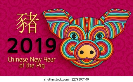 Chinese New Year background with creative stylized pig. Vector illustration