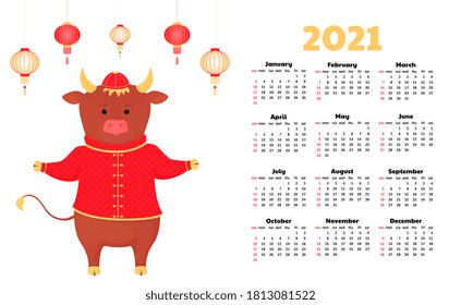 Chinese new year of the bull. Happy cow and asian lanterns. Calendar for 2021 from Sunday to Saturday. Funny cartoon ox for poster, card, invitation, calendar. Lunar horoscope sign.