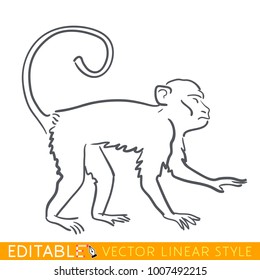 Chinese New Year. Calendar 2028. Monkey or Ape zodiac sign. Editable stroke. Sketch drawing on white background. 