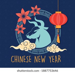 chinese new year card with ox and flowers and lamp hanging vector illustration design