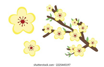 Chinese New Year festival Ochna flower blossom clipart. Simple cute yellow flowers Ochna integerrima flat vector design illustration cartoon. Design elements. Asian Happy Lunar New Year concept