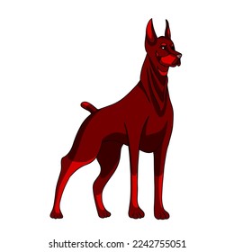 The Chinese New Year is a fiery dog. Doberman 