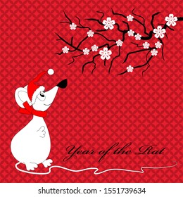 Chinese New Year greeting card with rat silhouette and traditional asian branch with flowers. Flat style design. Concept for your design, holiday banner, decor element. There is a place for any text.