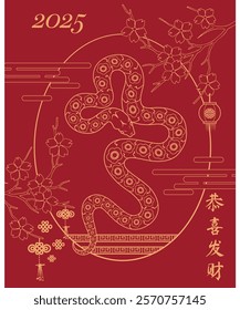 Chinese New Year greeting card, with an illustration of a golden snake, and the text "gong xi fa chai", on a red background. And decorated with various Chinese ornaments. Great for greeting cards