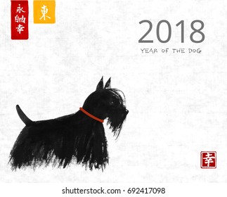 Chinese new year greeting card with a dog hand drawn with ink in asian style on rice paper. Symbol of the year. Scottish terrier in red collar. Contains hieroglyphs eternity, freedom, happiness, east