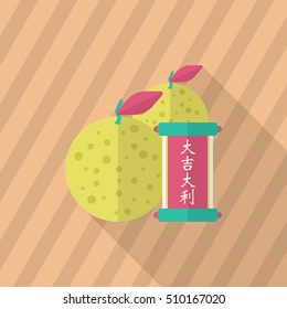 Chinese New Year icon, Vector flat long shadow design.Chinese lucky orange means "Wish you whole year will be lucky and propitious."