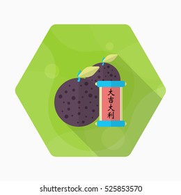 Chinese New Year icon, Vector flat long shadow design.Chinese lucky orange means "Wish you whole year will be lucky and propitious."