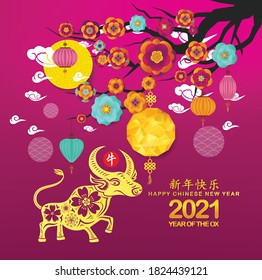 Chinese new year Lantern Festival background. Year of the Ox (Chinese translation Happy chinese new year 2021, year of ox)