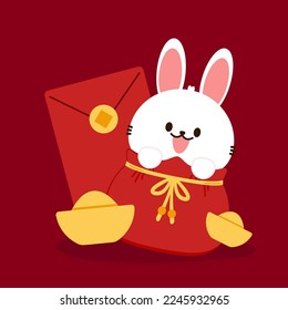 Chinese New Year Money pocket vector. Rabbit in Rad bag. Chinese money bag vector. Good luck. Year of rabbit. Chinese New Year 2023.