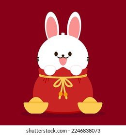 Chinese New Year Money pocket vector. Rabbit in Rad bag. Chinese money bag vector. Good luck. Year of rabbit. Chinese New Year 2023.