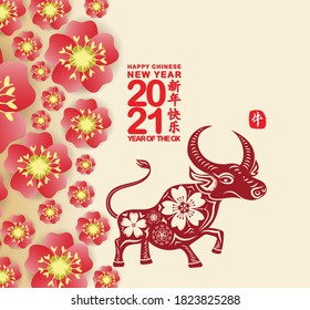 Chinese new year Ox 2021 background blooming sakura branches (Chinese translation Happy chinese new year 2021, year of ox)