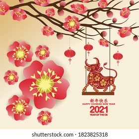 Chinese new year Ox 2021 background blooming sakura branches (Chinese translation Happy chinese new year 2021, year of ox)